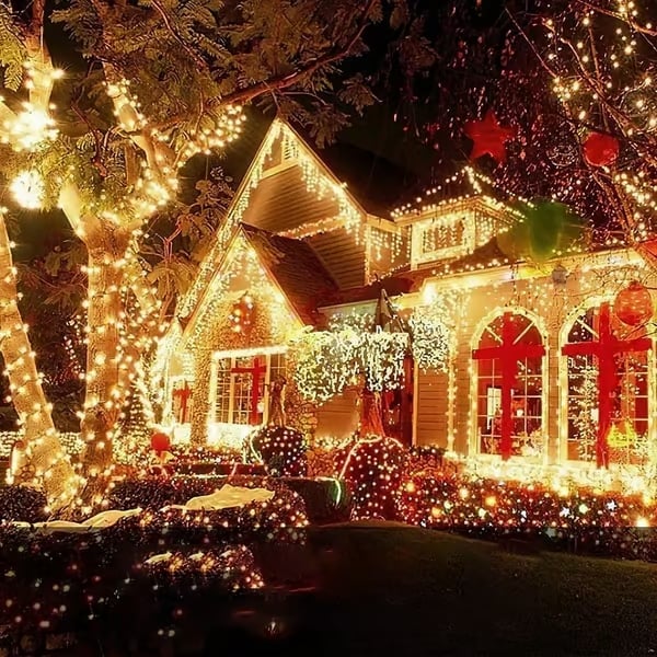 🎄Outdoor and Indoor Christmas Lights